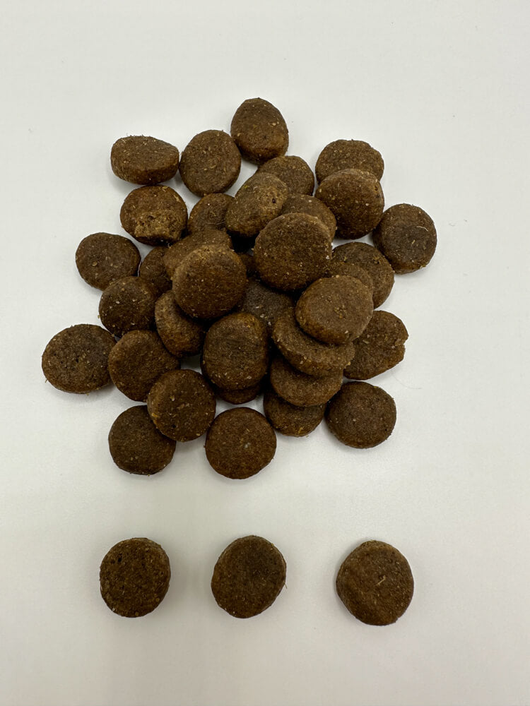 Trockenfutter Senior / light Ente 1,3 cm