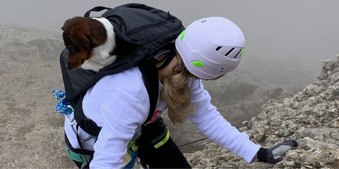 Mit Wandern begann es – und nun sind wir mit Hund im Klettersteig anzutreffen